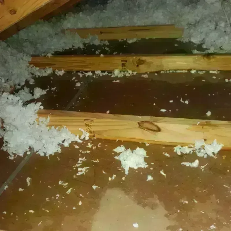 Attic Water Damage in Warroad, MN